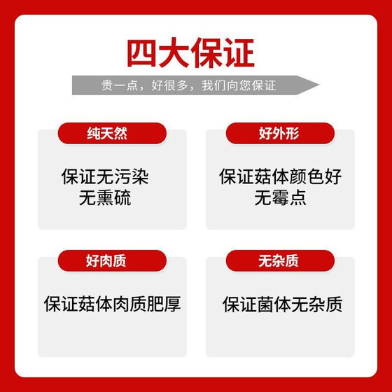 Top velvet mushroom dry goods factory direct velvet mushroom dry goods wholesaler with mushroom soup stir-fried dishes