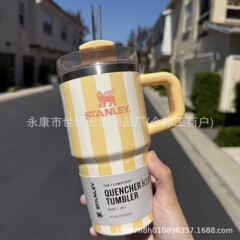 eBayStanley 縦縞柄保温カップ 20オンス スタンレー 保温保冷カップ ストローカップ 1 ポータブル アウトドア