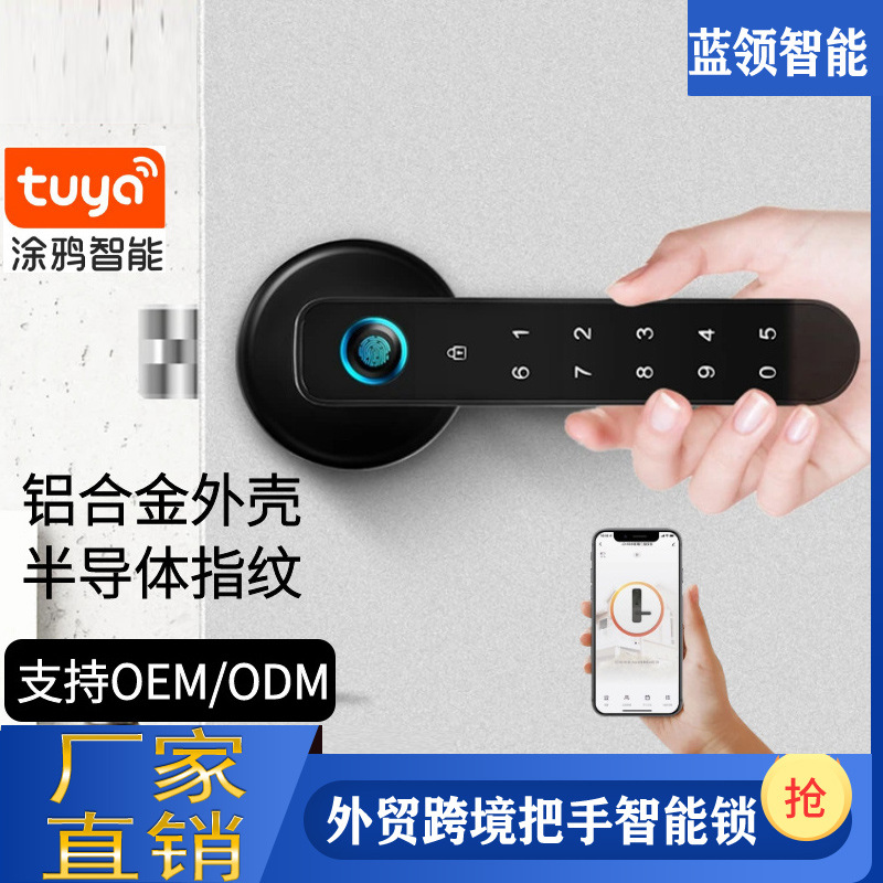 新款把手智能锁执手头美式锁支持苹果HomeKit 涂鸦tuya密码蓝牙锁