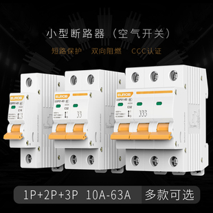 Electrician Small Circuit Breaker 63Aa Total Circuit Breaker Household 1P Short Circuit Protection 2P Air Conditioner Switch Air Switch