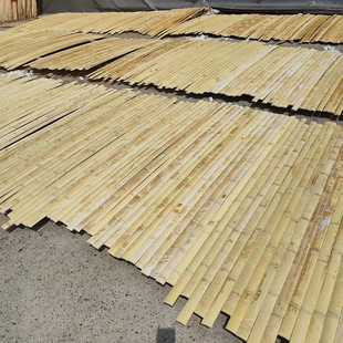 �����ձ��n���W�� ë��Ƭ����Ƭ���l �����¶������g��Ƭ����Ƭ�b