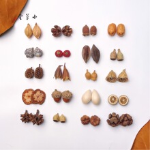 ��Ȼֲ����h�������diy���ӄ��₀�Զ��h���Ͽɐ���Ů���F���h