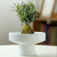 Wholesale porous rice bamboo hydroponic flower pot ceramic petal moss ball flower pot sword mountain green plant calathea Zamioculcas zamiifolia landscape