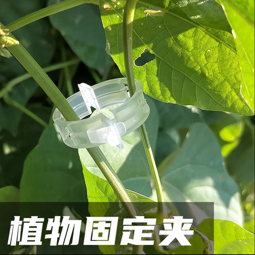 植物固定夹 塑料绑蔓植物夹绑枝夹吊蔓夹扶蔓夹藤蔓绿萝固定夹