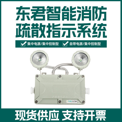东君LED消防应急IP65防爆双头灯具 新国标停电疏散照明指示灯|ms