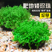 ���ذ����������ձ���������ˮ�����㰫����������~���쾰����