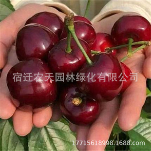 ������Ҙ����܇���Ӵ���Ҙ����ϱ����Nֲ���Լ޽�����ͥԺ�̨