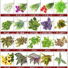 ����Gֲֲ�����쾰�T�^�b��������챳���������bٻ�