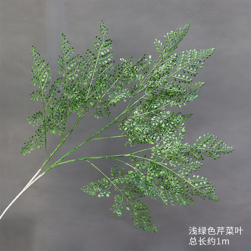 Hojas de apio verde claro