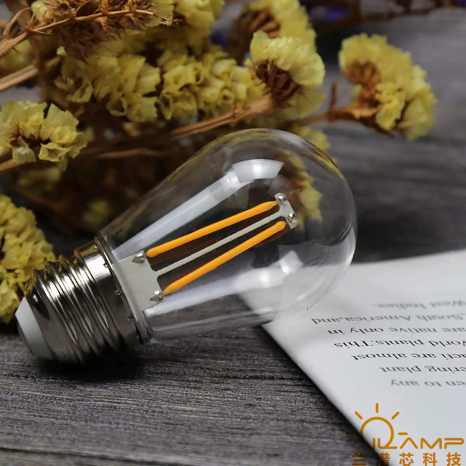 PC塑料球泡灯 80LM房间走廊大厅照明爱迪生灯泡 S14灯丝灯泡