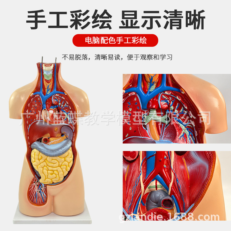 85CM��������ϵͳ����ģ�� ҽѧ ���� ���������������ٽṹ20��