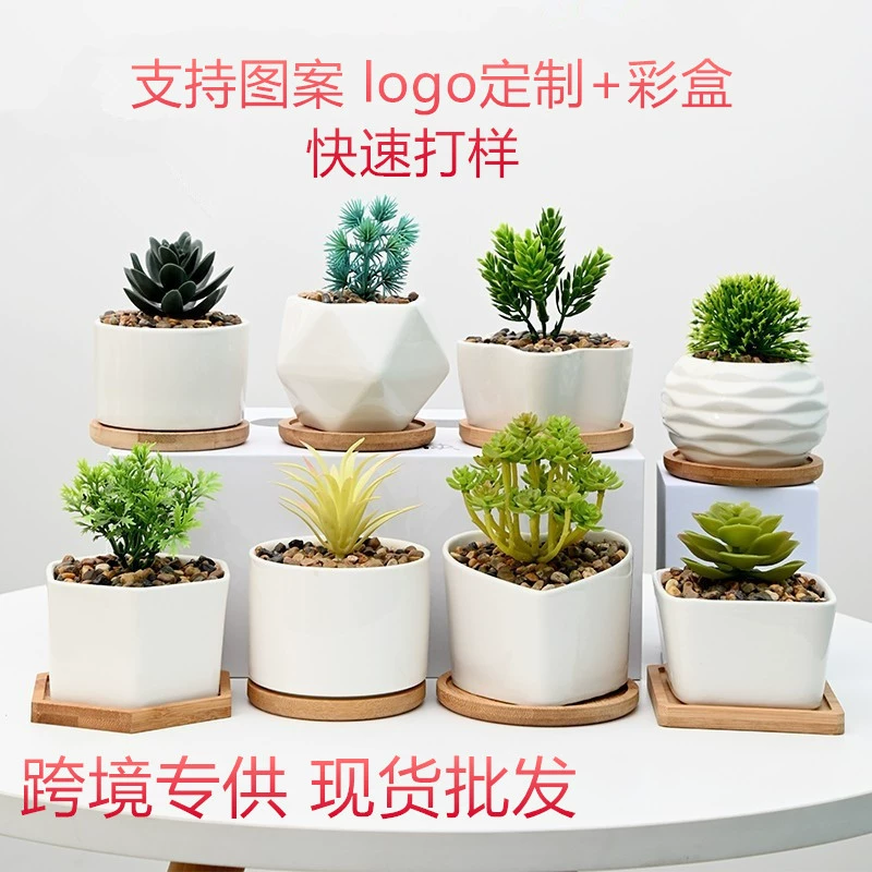Керамические цветочные горшки можно печатать с логотипами, простые белые фарфоровые креативные украшения для бонсай, оптовая торговля трансграничными горшками для суккулентов.