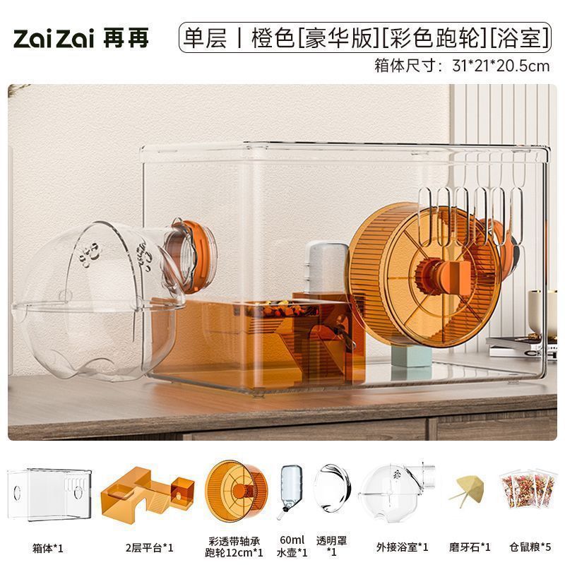 단층 오렌지 [디럭스 에디션] [건강한 치아 어금니석]