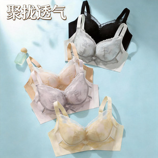 2026�o�۟o�ȹǳ�͸�⻨�����o�Ȧ���¾۔n���й����l���´�����