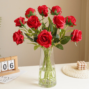 �S�����l���滨õ�� ��֦����С���¼Ҿ��bٻ��J�Jõ����滨