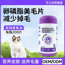 ��������֬؈���þ׽��w��؈�䌣����ë��ë�~���oë����֬��ëƬ