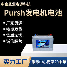 柴油发电机组专用Pursh蓄电池12V6-FNM930G 830G 720 670 550450G