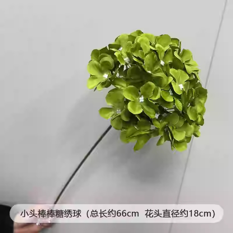 芦荀草绿植花龙须草假花白绿森系婚庆装饰自然风背景插花路引|undefined