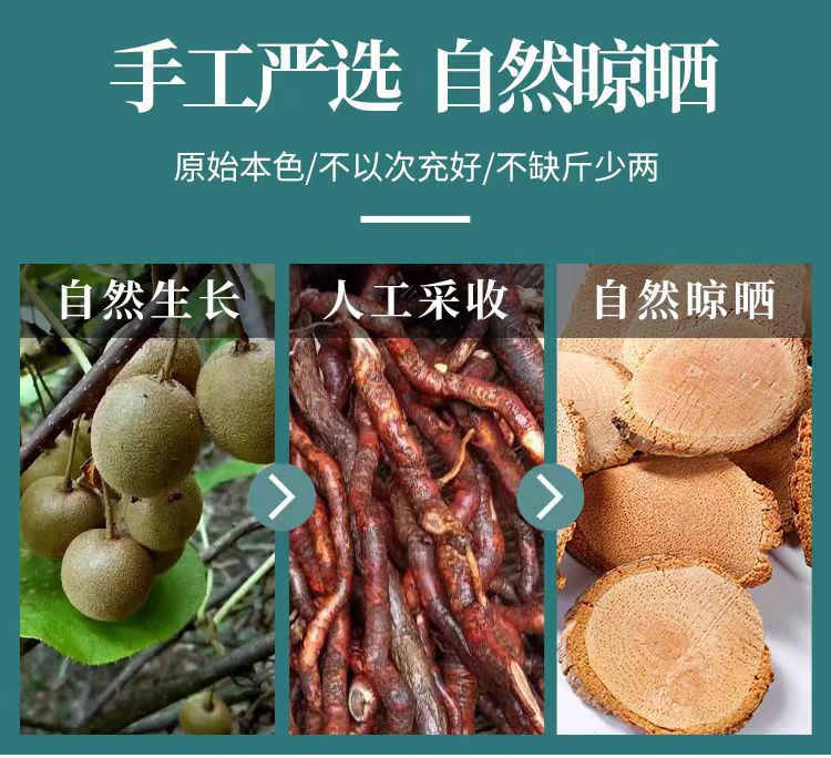 Teng Li Gen (Actinidia chinensis) — Dried Kiwi Root Slices, Traditional Chinese Herb key features