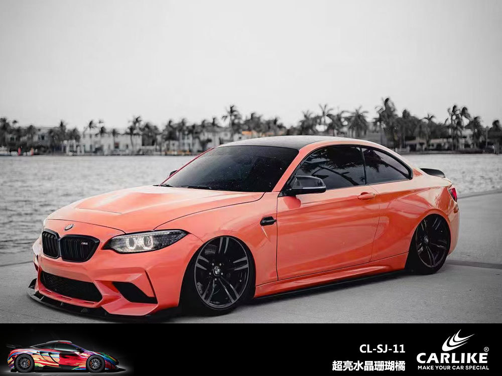 슈퍼 밝은 크리스탈 산호 오렌지