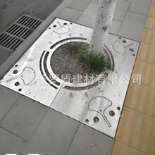 �����b�� ��Ѩ��� �����Lɳ ��\�������� �@���T�F�o���