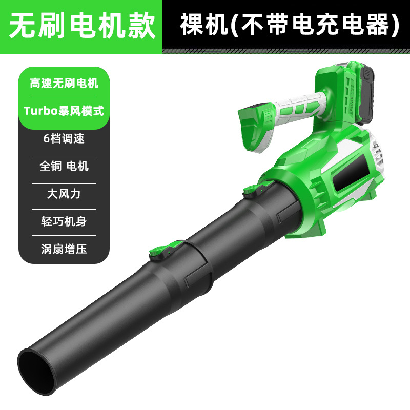 배터리 충전기가 없는 리튬 배터리 녹색 베어 메탈