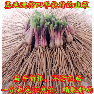 �F�ھ²˸��ϸ��猒�~�t���҃��̨�N���ļ�����ֲ�ﻨ�ܲ������