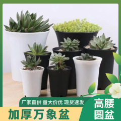 万象盆の円形の厚いプラスチックの植木鉢の小さいサイズの玉露の古い杭の育苗鉢の通気性の多い肉の植木鉢の大きいサイズの鉢植え
