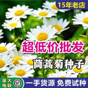 ����շN�Ӷ������ͺ����ܷN��ͥԺ�������^�^�p���N���l