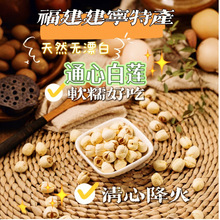 精选正宗福建建宁白莲农家新鲜去芯磨皮白莲子药食同源无心白莲子