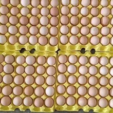 幸福農場富硒、無抗、無葯殘粉殼360枚箱裝雞蛋