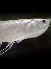 �Ꭷ�^�p�~�������о����y�����Ӽt���S���߲��y�����~�y���~���~