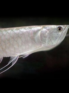 �Ꭷ�^�p�~�������о����y�����Ӽt���S���߲��y�����~�y���~���~