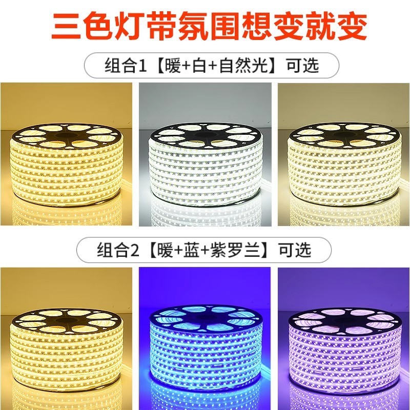 灯带led灯条三色变光家用变色客厅吊顶220V户外防水rgb长条软七彩|undefined