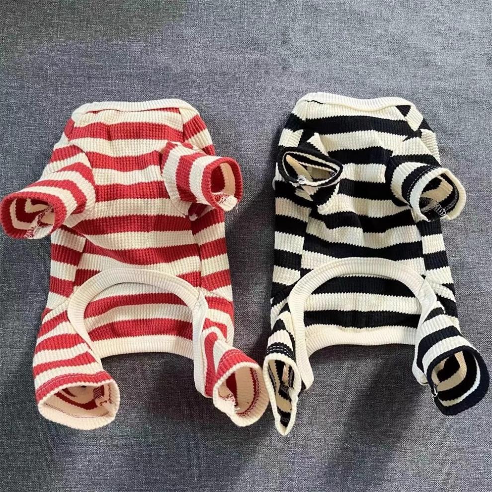 5e79a0db-f468-4e85-8e31-43966032946f.jpe