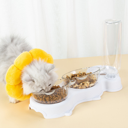 Pet Bowl Wholesale Plastic Dog Bowl Double Bowl Automatic Drinking Anti-Tip Food Bowl Pet Bowl Cute Cat Rice Bowl Cat Bowl
