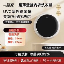 爆款正品全自动小型高温煮洗杀菌内衣内裤迷你壁挂洗烘一体洗衣机