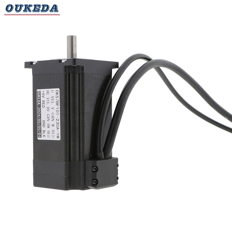 OK57BF101-230B-1M DC24V 200W 3000RPM 57mm Brushless Motor