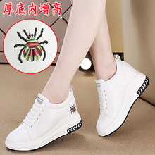2025春夏秋女鞋新款潮坡跟厚底内增高休闲运动单鞋小白鞋一件代发