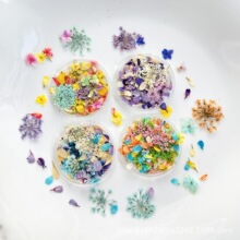 日式ins风美甲干花莫奈花园油车配色小花碎花混合diy材料指甲饰品