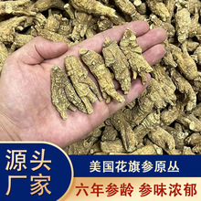 美国原丛花旗参批发足龄老参软质整枝多规格可选散装产地货源批发