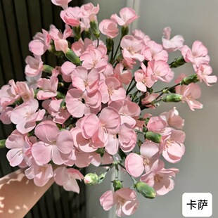 �ΰ���^����ܰ�r��С��ϡ��Ʒ�N��������ܰ�������ֱ�l�����ඡ