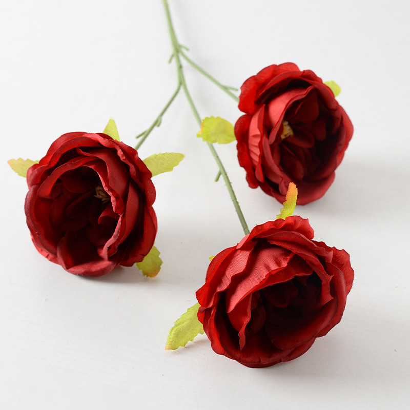 3 cabezas Austin rojo