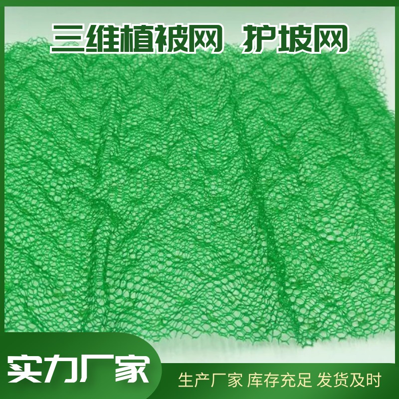 定制三维植被网 加筋固土三维护坡网 EM2EM3土工网垫三维植草网