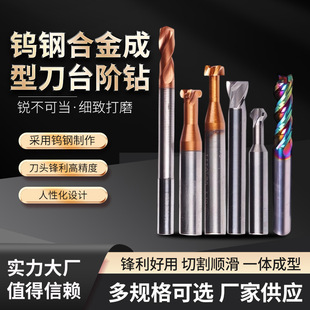 �ǘ˶����u�㊵������q���ǘ˳��͵���βT�͵��u䓺Ͻ���̨�A