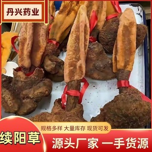 �mꖲ�����خa��ɽ��ș����������i���ʿ�B����ˮ�ݾ����mꖲ�