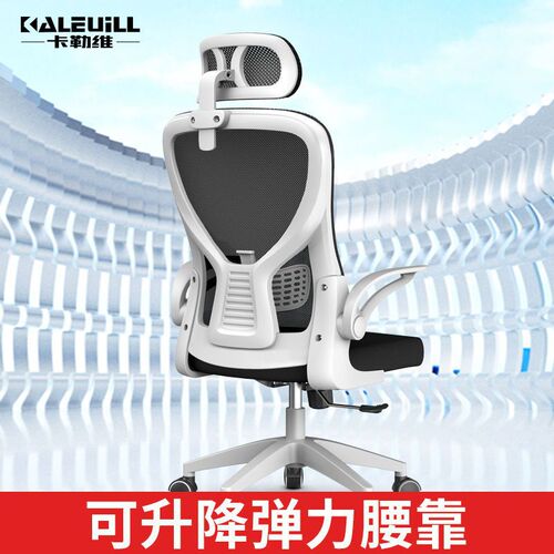 z% Computer chair, home study chair, primary and secondary school students, comfortable to sit for a long time, not tired, e-sports chair, ergonomic chair, office chair