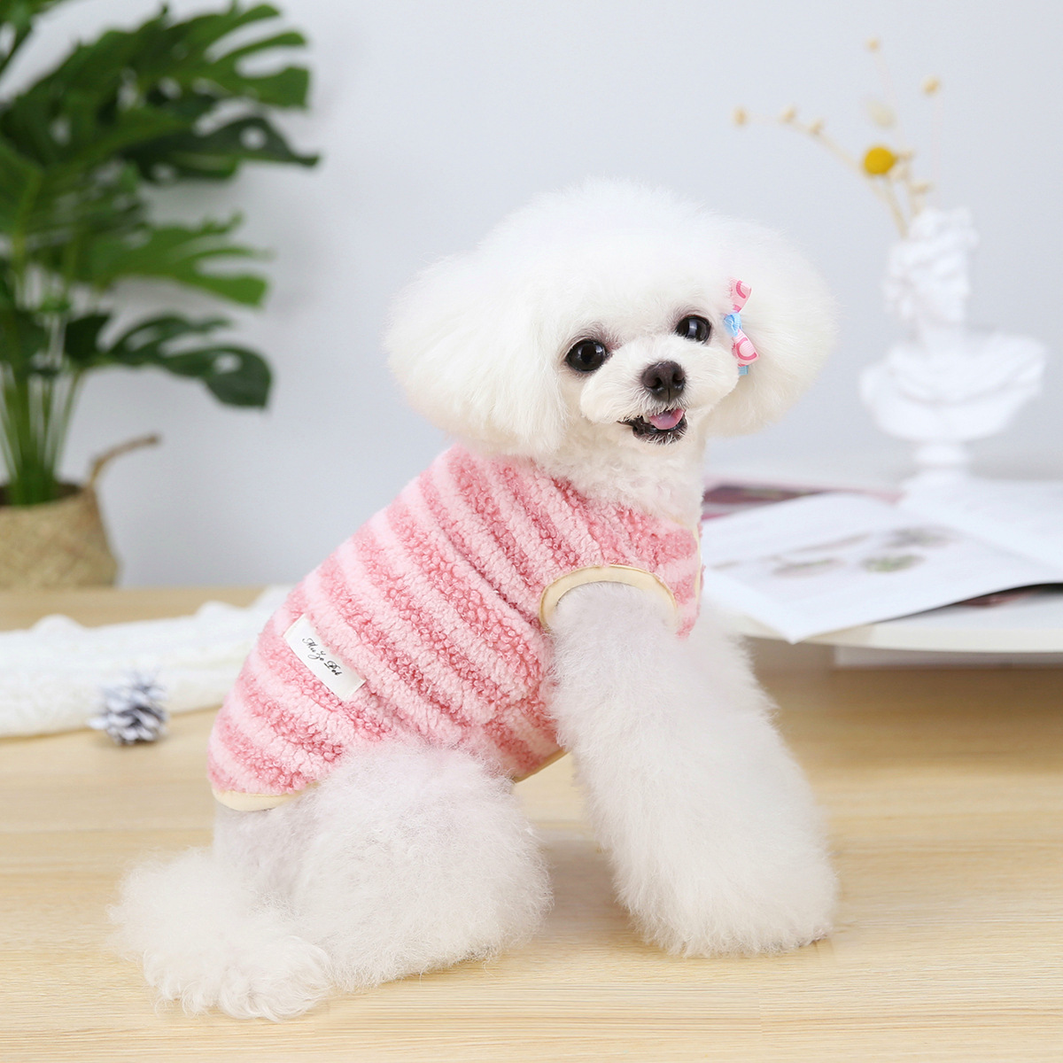 小型犬狗衣服寵泰迪比熊物條紋背心寵物秋冬服裝貓咪服飾批發