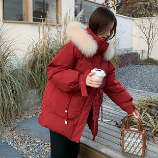 �����}�Q�t�����ë�I��q��ŮС����2024���¿ů�����q���׳�