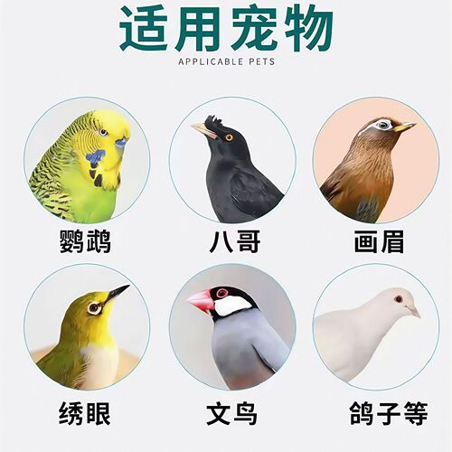 Use Gopengkang Factory to distribute bird-specific vomit, eat, turn head, tilt head, appetite loss, and turn head specifically.